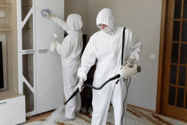 24/7 Emergency Odor Removal experts in Morristown, AZ